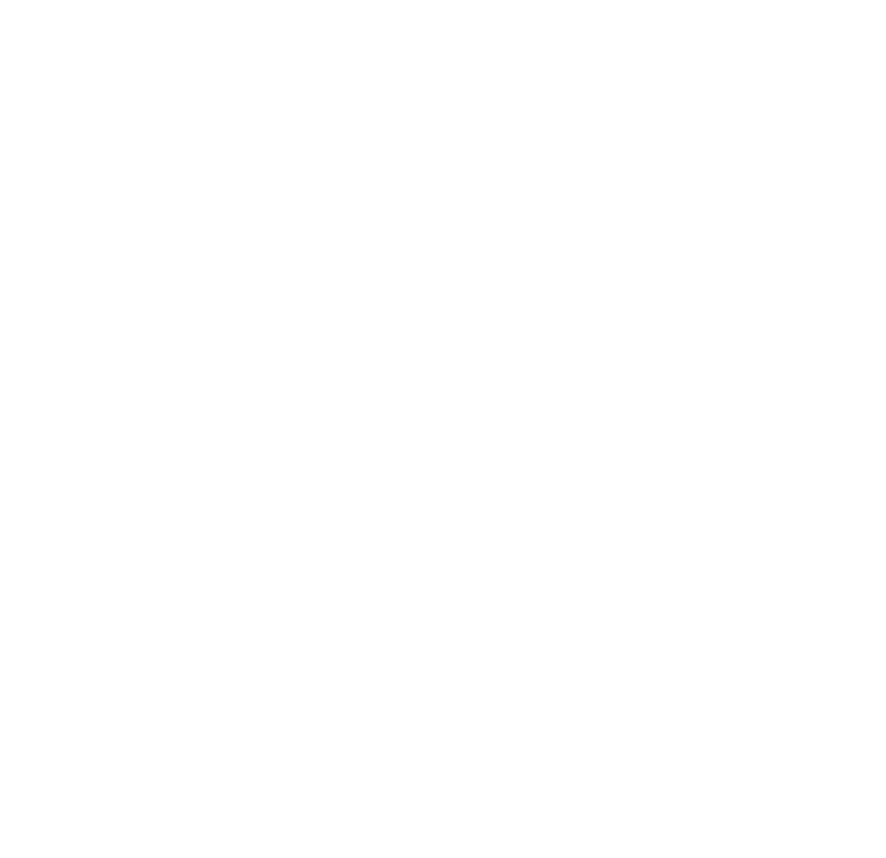 Sky's Toy Service